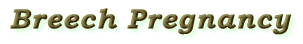 breech pregnancy